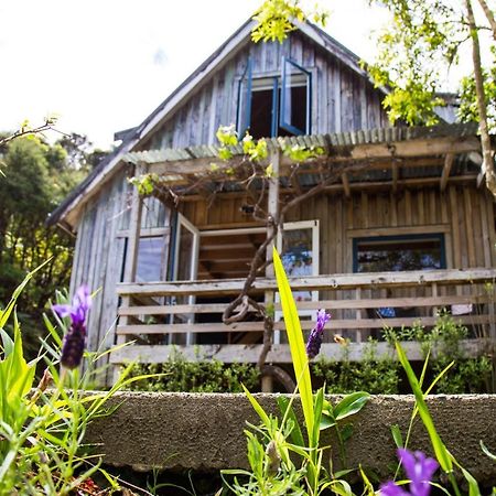 Fern Lodge Coromandel Екстериор снимка