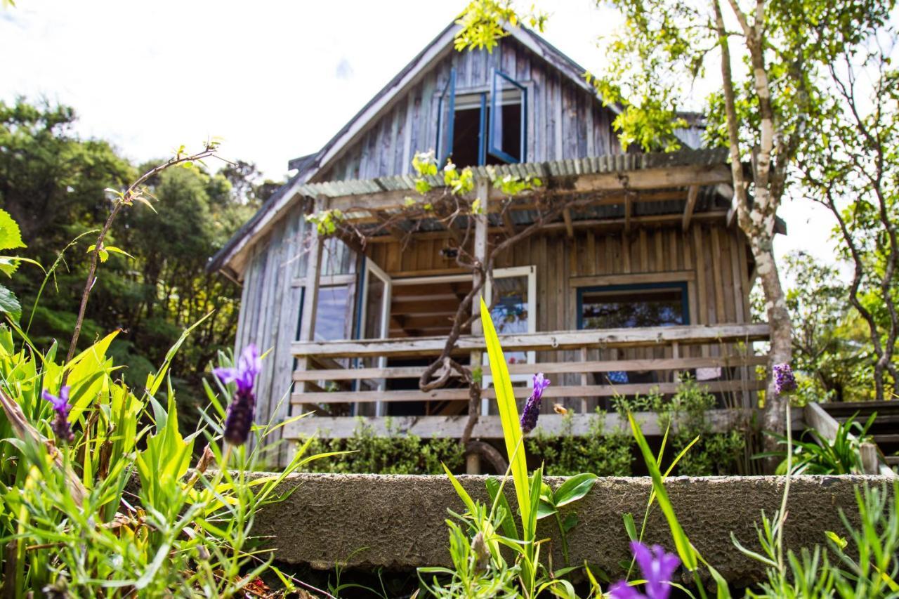 Fern Lodge Coromandel Екстериор снимка