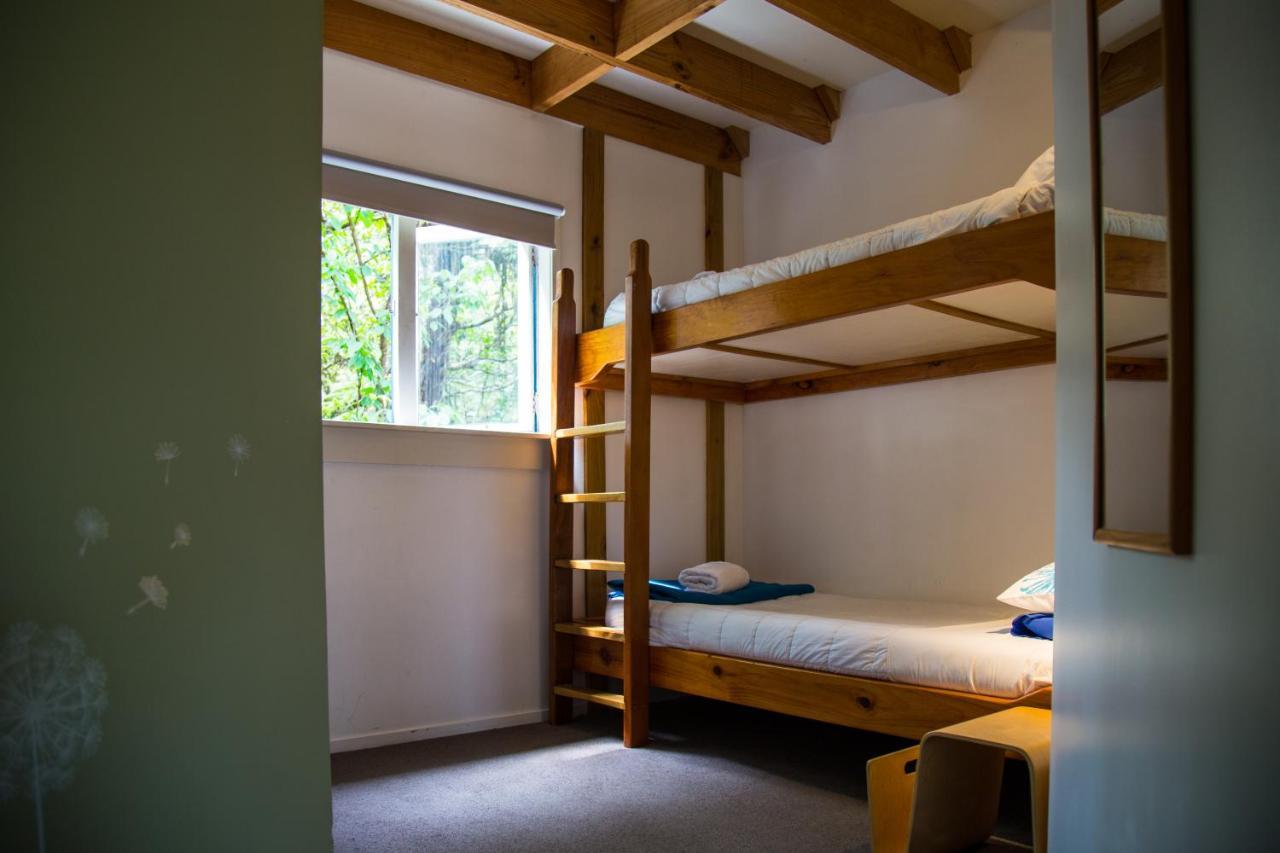 Fern Lodge Coromandel Екстериор снимка
